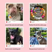 Custom Best Friend Collar with Matching Bracelet