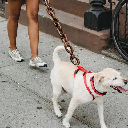 Giant Halloween Leash