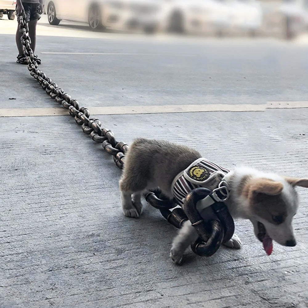 Giant Halloween Leash