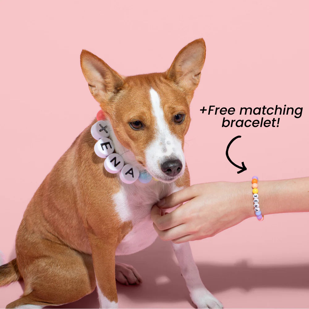 Custom Best Friend Collar with Matching Bracelet