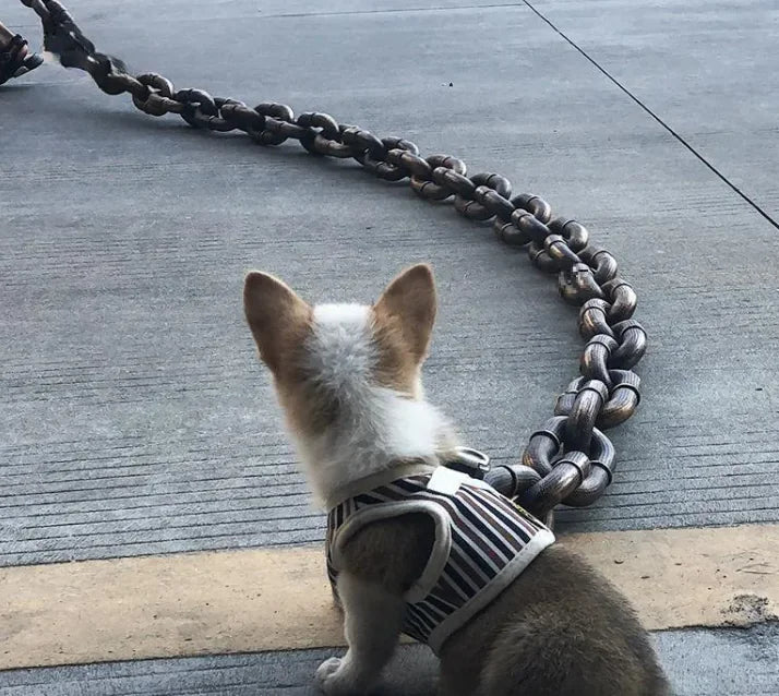 Giant Halloween Leash
